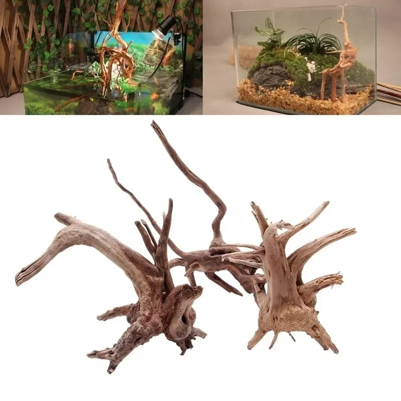 Aquarium Plants Live - Doğal ağaç gövdesi Driftwood akvaryum balık