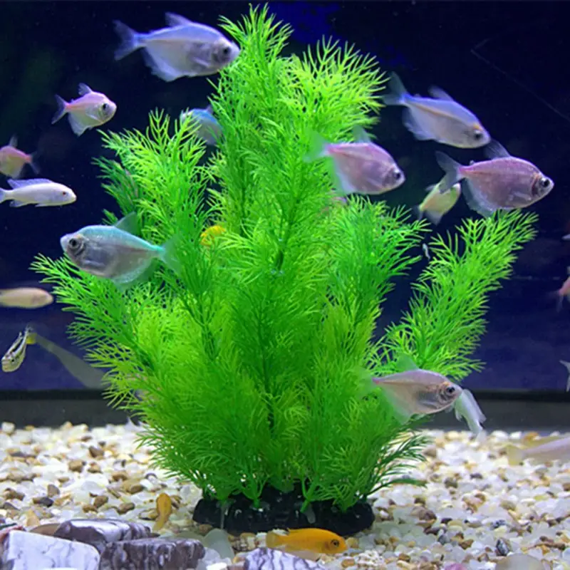 Aquarium Plants Live - Yapay Akvaryum Dekor Bitkiler Sualtı Su