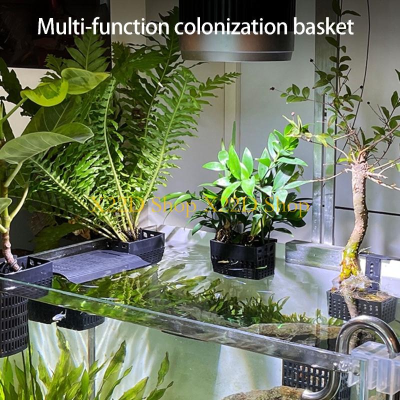 Plant Aquarium Pot - X22D Modern Antik Dikey Bitki Tutucu