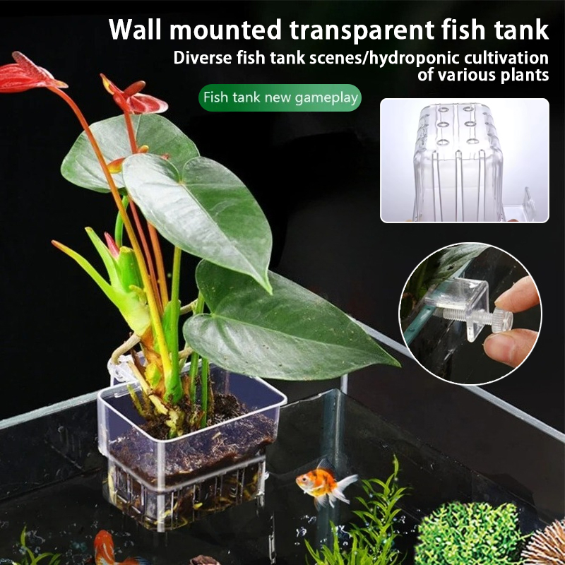 Plant Aquarium Pot - Akvaryum Asma Saksıları Duvara Monte Edilen