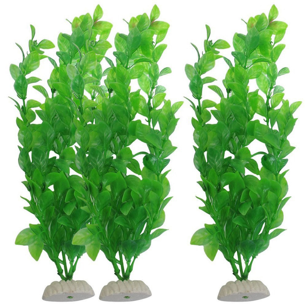 Aquarium Plants Live - 3 adet Suni Çim Akvaryum Süs
