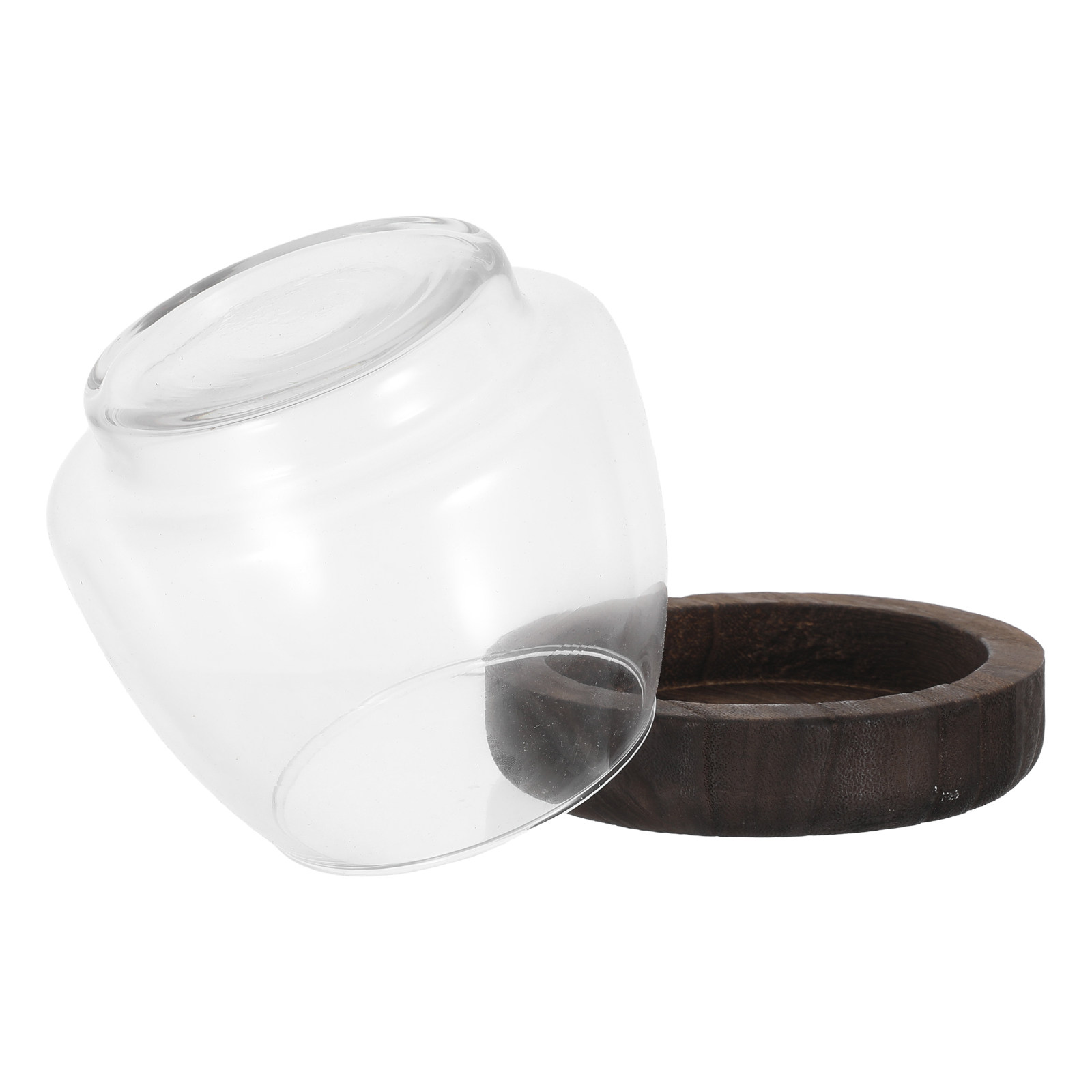 Aquarium Plant Holder - Yuvarlak Cam Hidroponik Bitki Standı, Balık