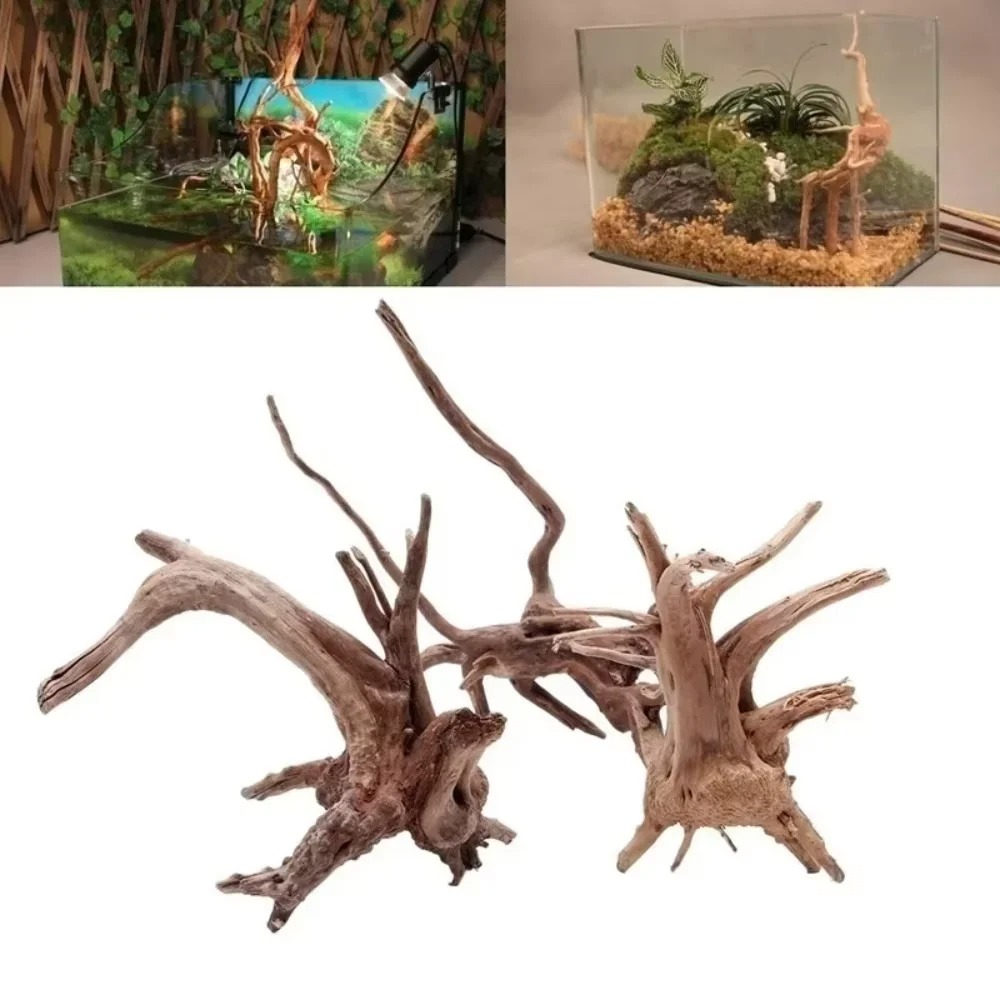 Aquarium Moss - 15-20CM Doğal Kök Ağacı Akvaryum Dekoru