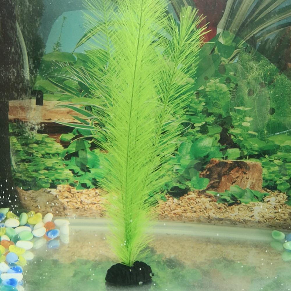 1/3 adet 28/40cm akvaryum balı - Aquarium Plants Live incelemesi ve fiyatı