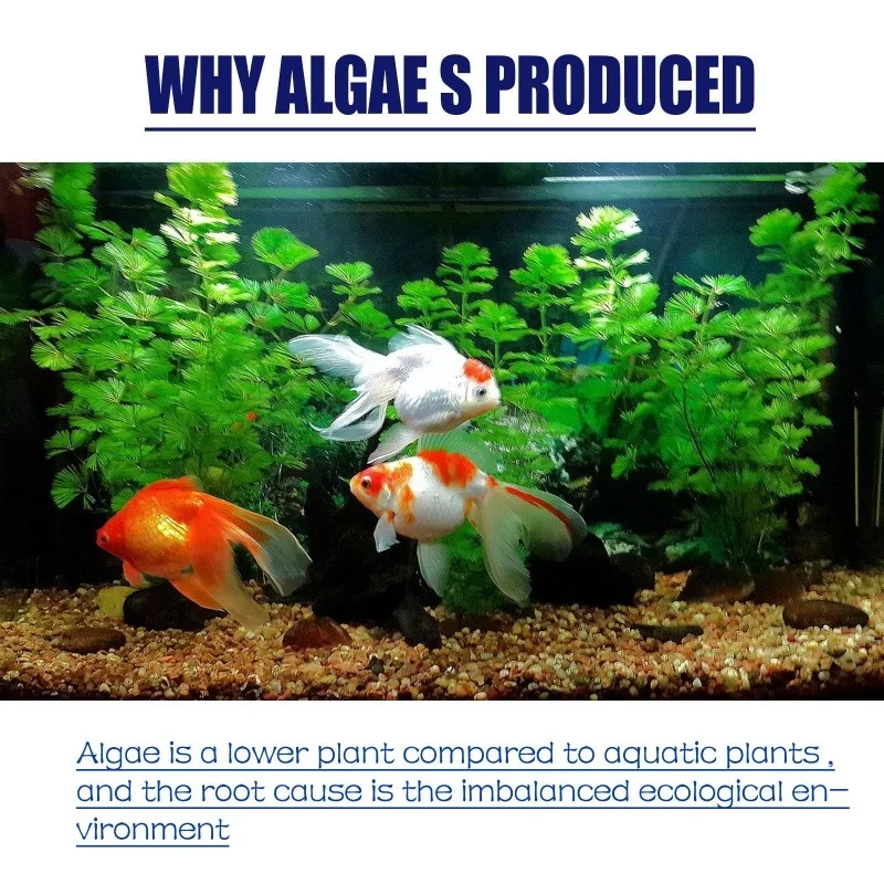 50g Yüksek Etkili Alg İlacı, A - Aquarium Fertilizer incelemesi ve fiyatı