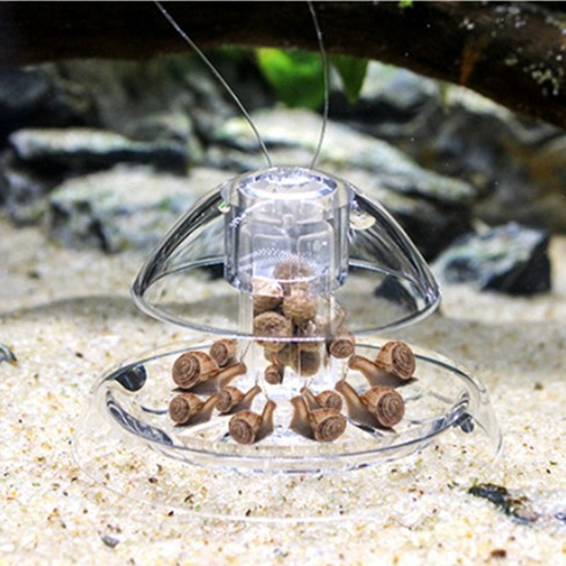 1 adet balık tankı akvaryum te - Planted Aquarium Cleaning incelemesi ve fiyatı