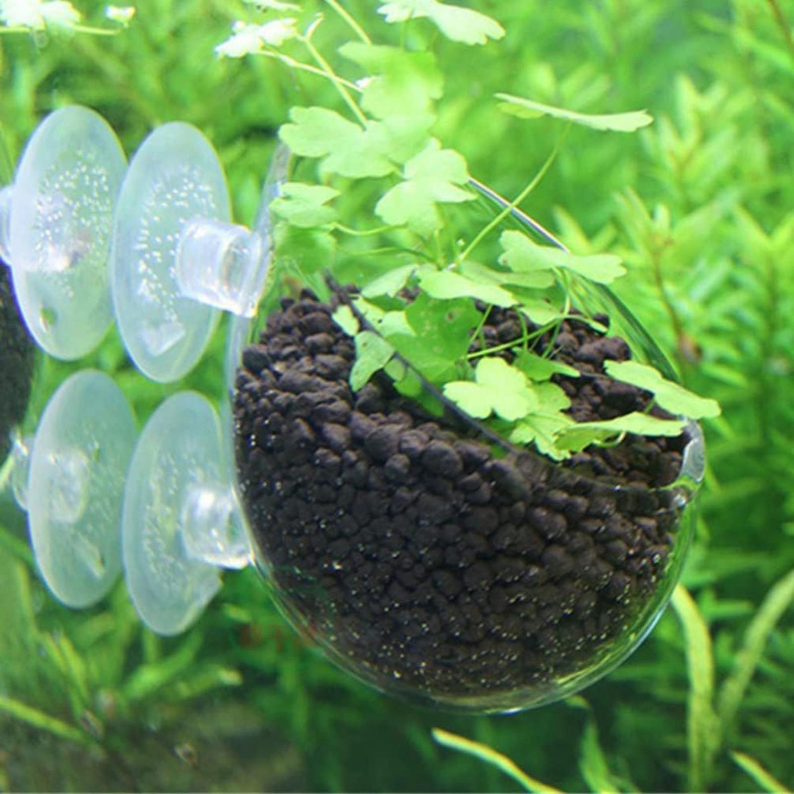 Akvaryum Bitki Tutucu Cam Su B - Aquarium Plants Live incelemesi ve fiyatı