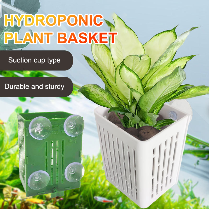 Asılı Vantuzlu Kanca Akvaryum  - Plant Aquarium Pot incelemesi ve fiyatı
