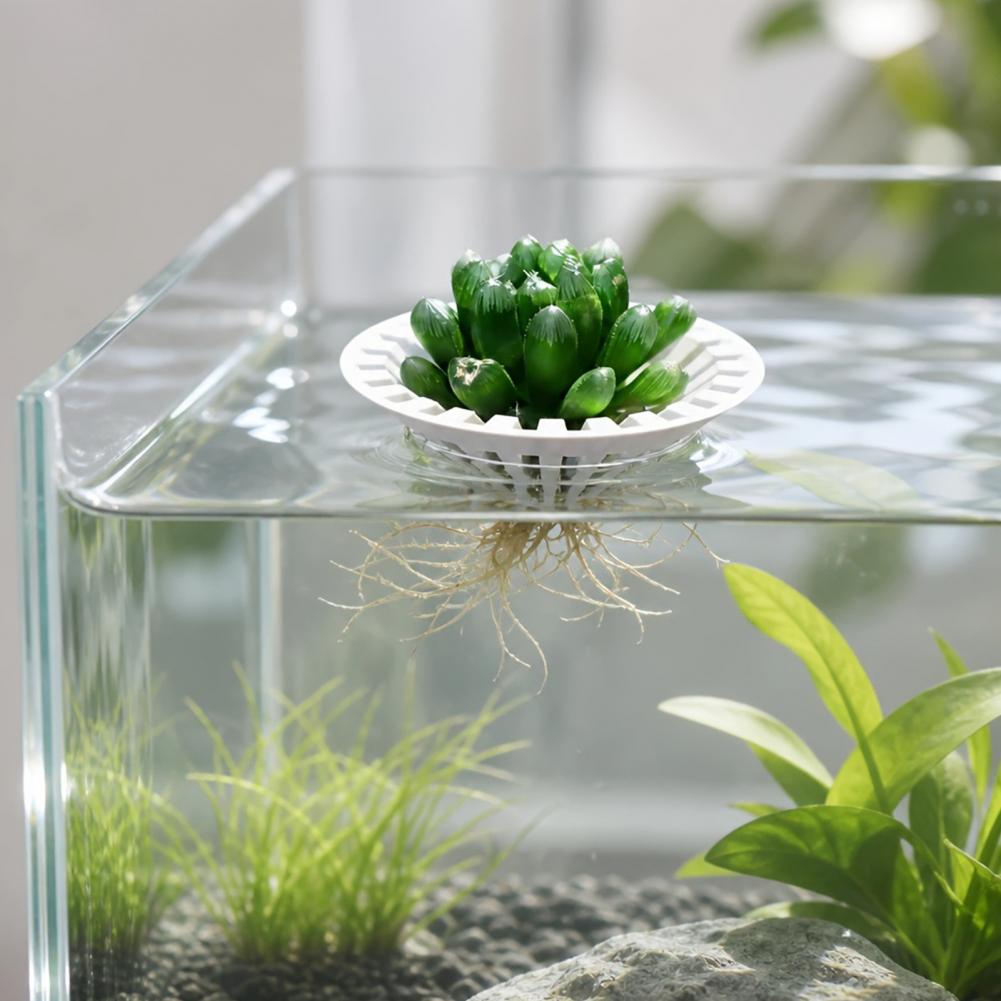 Akvaryum Hidroponik Saksı 3D B - Aquarium Plant Holder incelemesi ve fiyatı