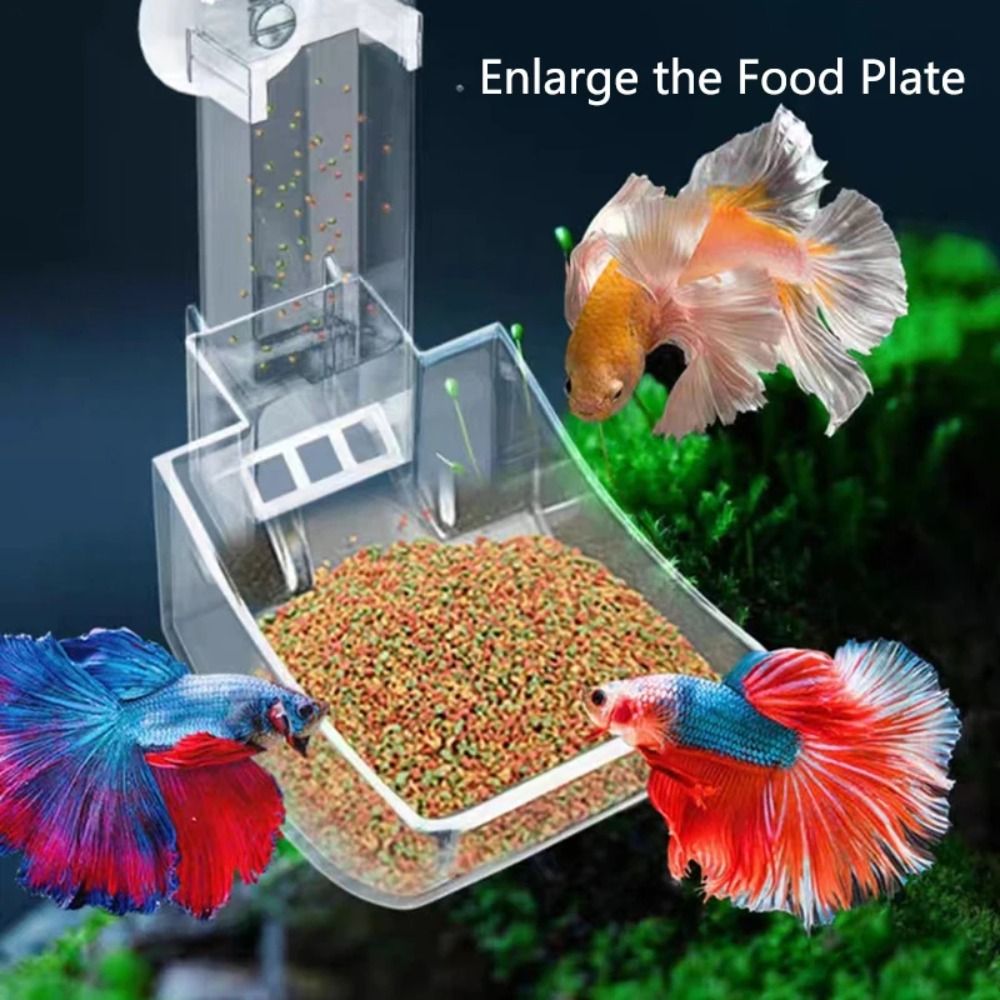 Yeni Şeffaf Akvaryum Balık Tan - Aquarium Fertilizer incelemesi ve fiyatı