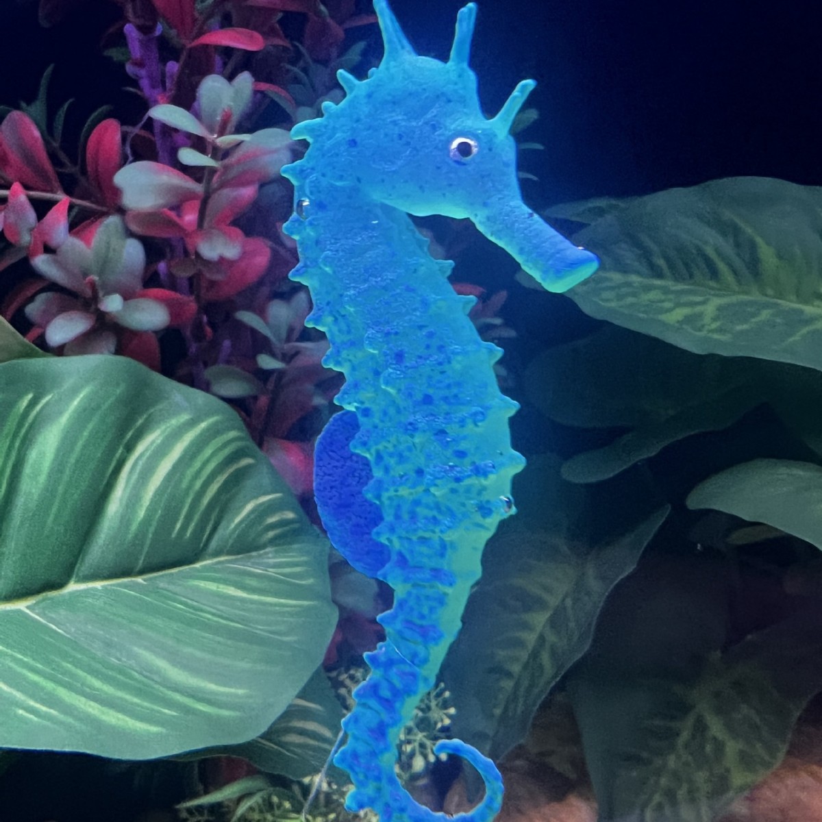 Simüle Edilmiş Işıklı Denizatı - Aquarium Plant Substrate incelemesi ve fiyatı