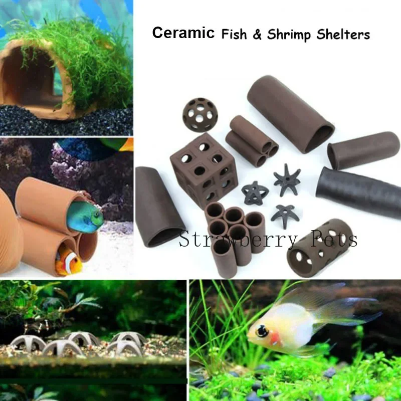 Seramik Akvaryum Dekorasyon Ba - Aquarium Plants Live incelemesi ve fiyatı