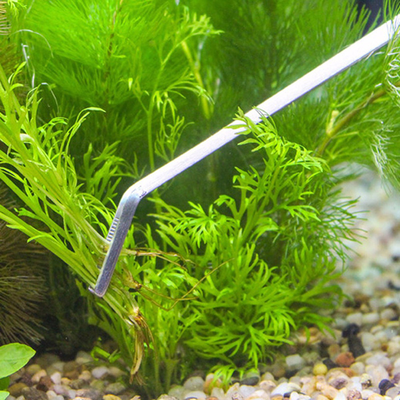 Profesyonel Akvaryum Bakım Ale - Aquarium Plants Live incelemesi ve fiyatı