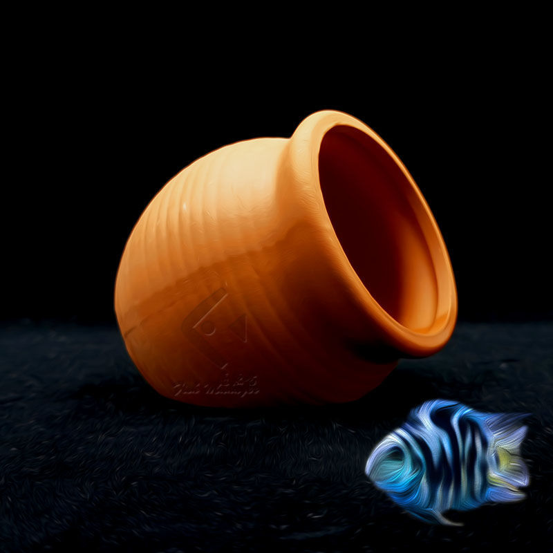 Akvaryum Mini seramik tankı ba - Aquarium Driftwood incelemesi ve fiyatı