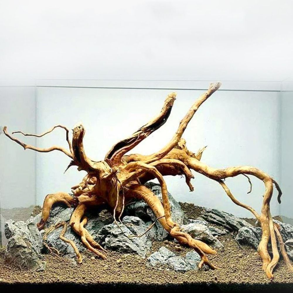 20-25CM Büyük Akvaryum Driftwo - Aquarium Driftwood incelemesi ve fiyatı