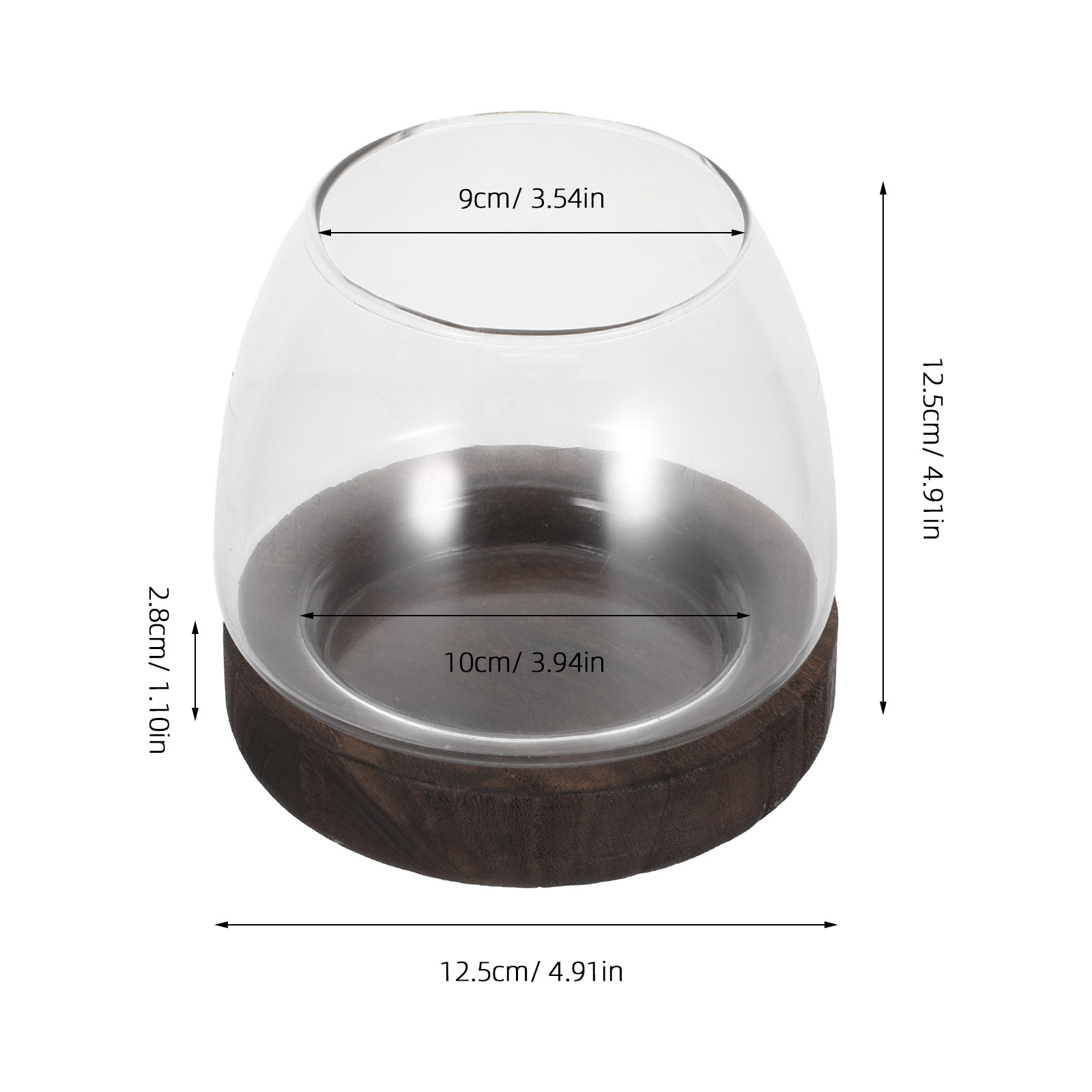 Yuvarlak Cam Hidroponik Bitki  - Aquarium Plant Holder incelemesi ve fiyatı