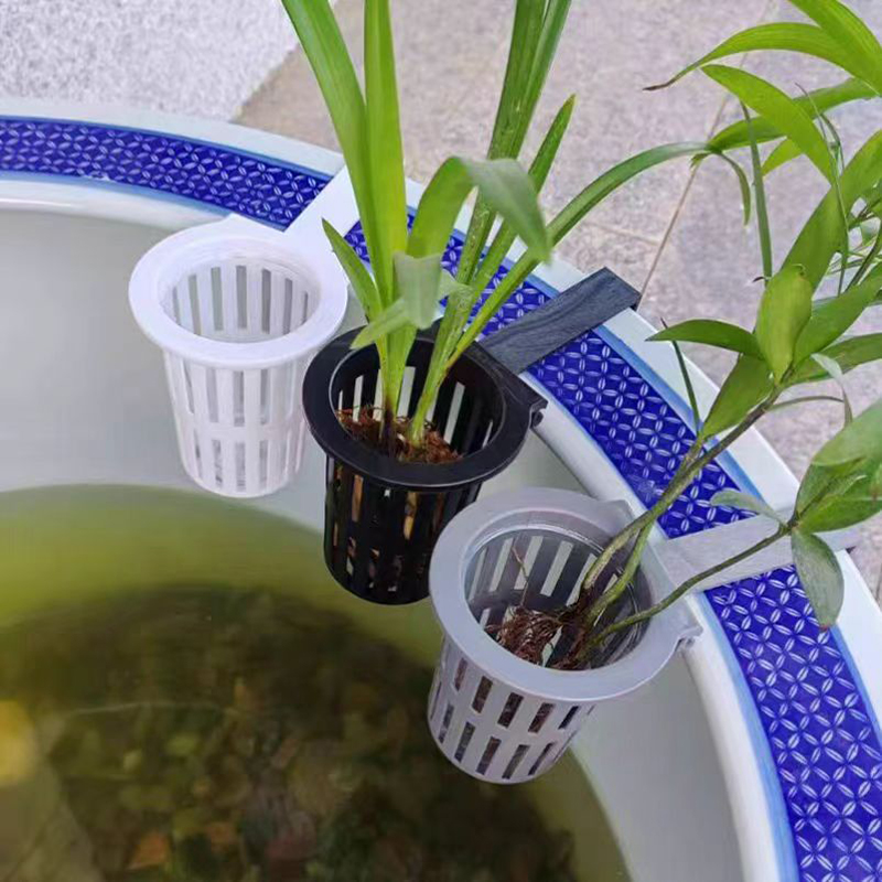 1/3 adet akvaryum bitki sepeti - Aquarium Plants Live incelemesi ve fiyatı