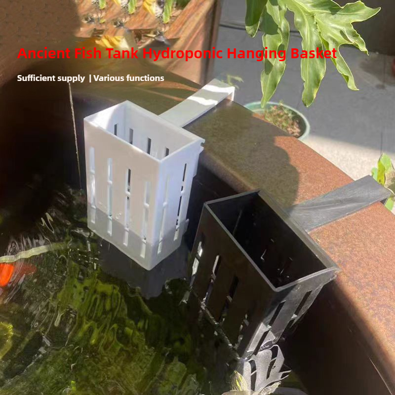 1/3 adet akvaryum bitki sepeti - Aquarium Plants Live incelemesi ve fiyatı