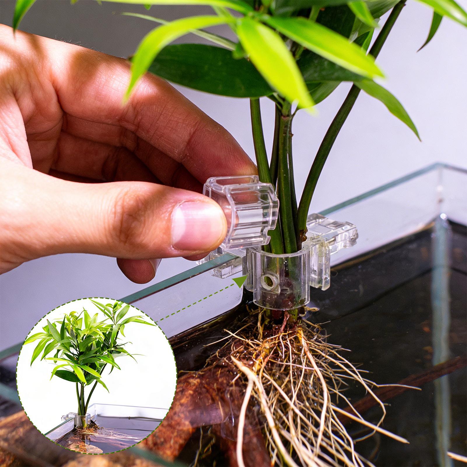 6 adet Akvaryum Bitki Tutucula - Aquarium Plants Live incelemesi ve fiyatı