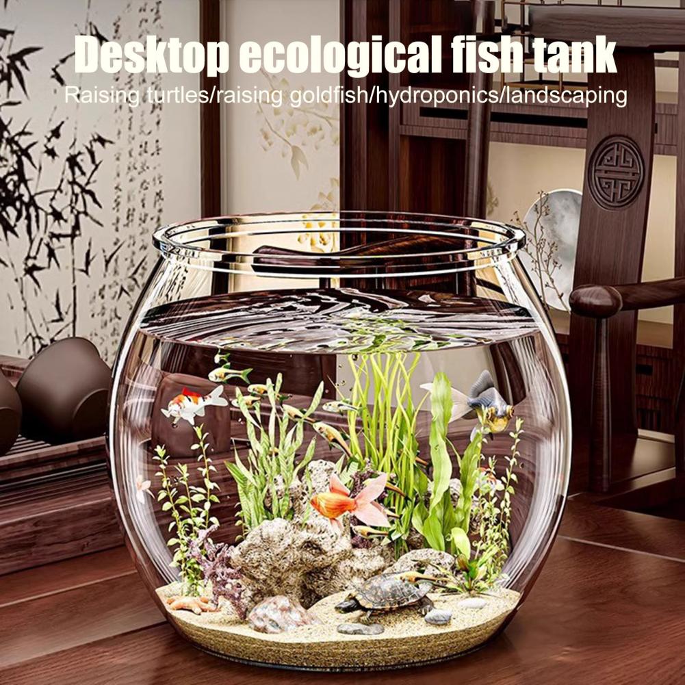 Şeffaf Plastik yuvarlak balık  - Plant Aquarium Pot incelemesi ve fiyatı