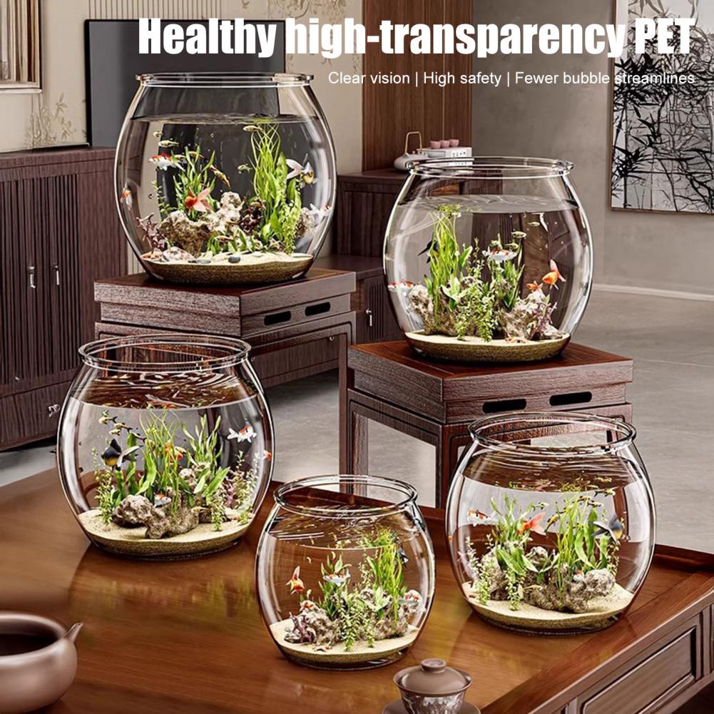 Şeffaf Plastik yuvarlak balık  - Plant Aquarium Pot incelemesi ve fiyatı