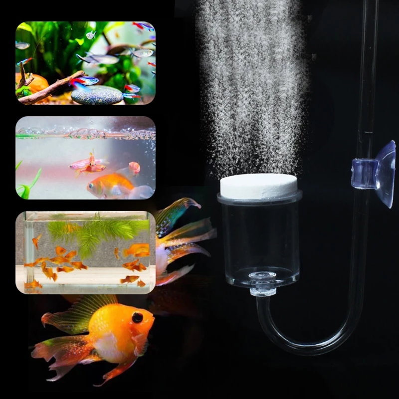 4 adet Set DIY CO2 difüzör içi - Aquarium Plants Live incelemesi ve fiyatı