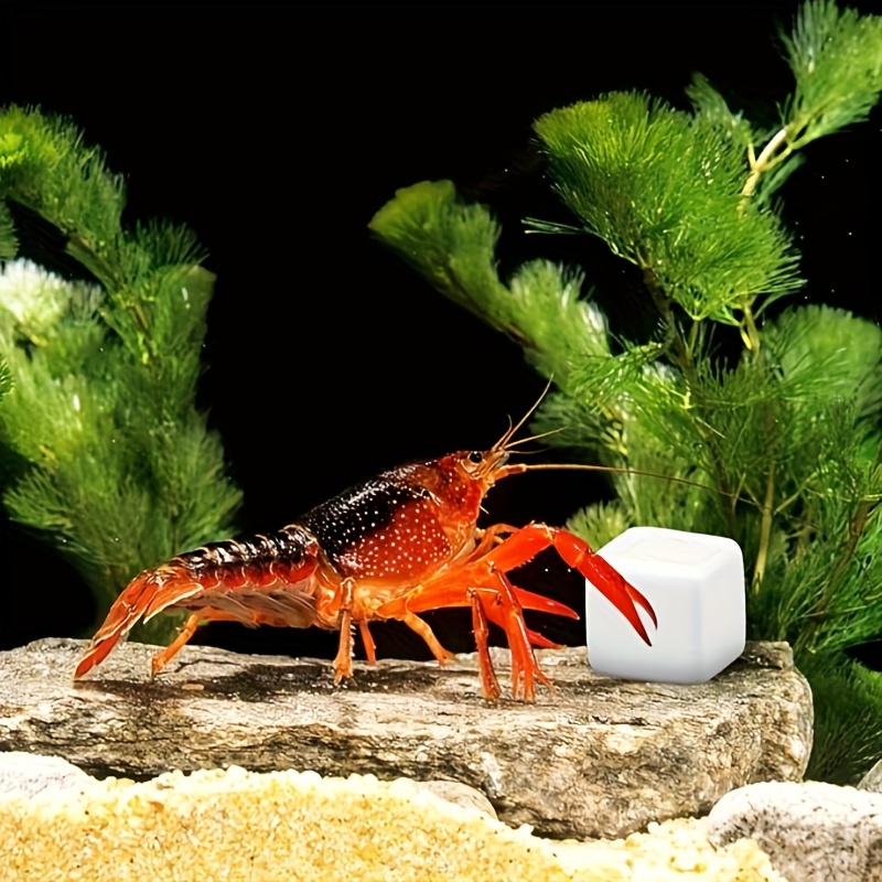 6 Adet Balık Tankı Kalsiyum Bl - Aquarium Plants Live incelemesi ve fiyatı