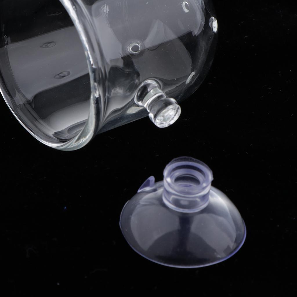 Canlı Solucanlar ve Bitkiler İ - Plant Aquarium Pot incelemesi ve fiyatı