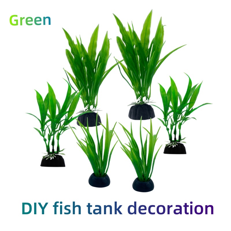 6 adet Paketleri Akvaryum Bitk - Live Plant Aquarium incelemesi ve fiyatı
