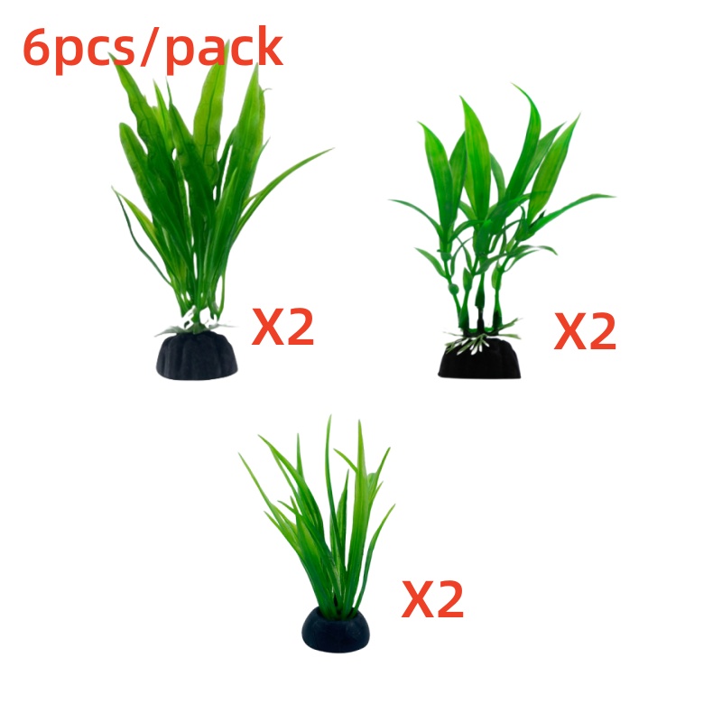 6 adet Paketleri Akvaryum Bitk - Live Plant Aquarium incelemesi ve fiyatı